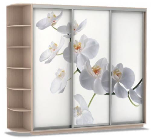 Для шкафа - купе в спальню чаще всего выбирают неяркие нейтральные изображения. 02