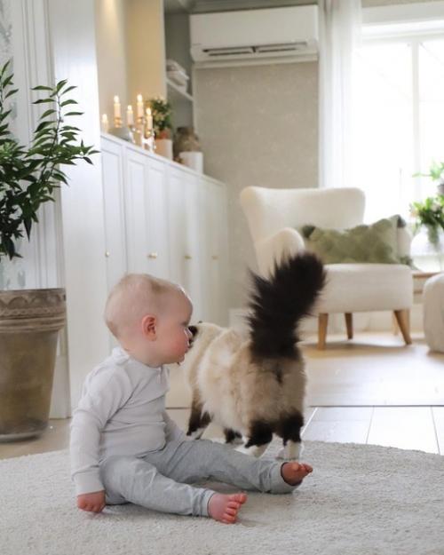 Не все то золото, что блестит: мы раскрываем всю правду о минусах скандинавского интерьера. 05