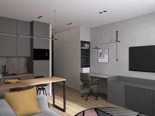 Проект квартиры - студии 24, 9 м 2. интерьер в современном стиле с элементами лофта. 07