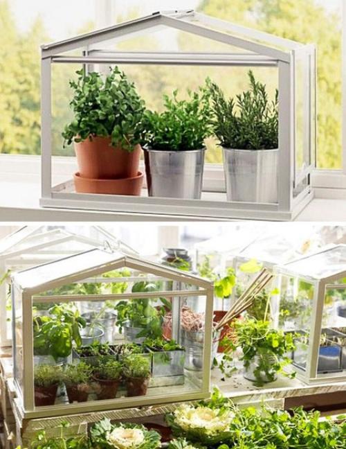 ? 10. Симпатичных идей для тех, кто мечтает о мини - огороде у себя на кухне. 02