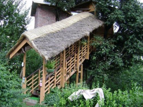 Отели на деревьях. 07