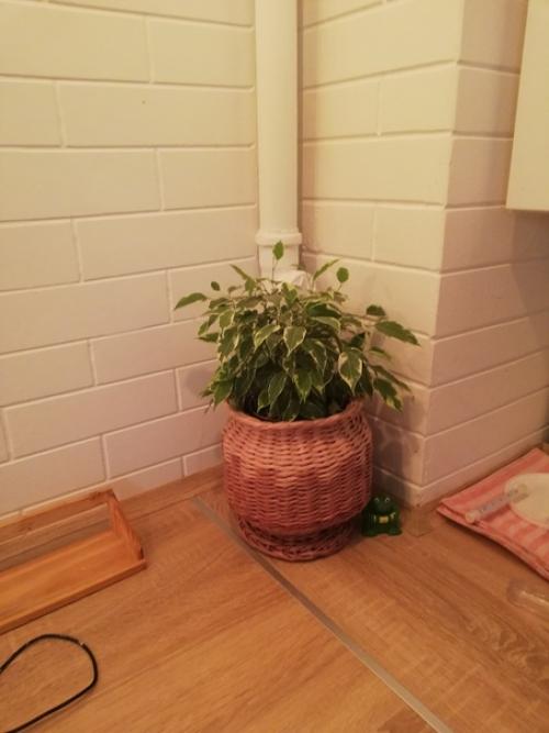 Здравствуйте!  Хочется сказать большое спасибо организатору группы и участникам! 07