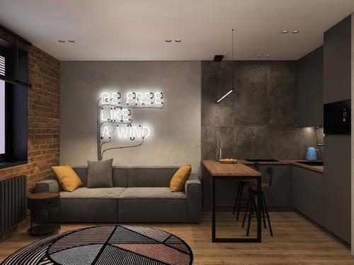 Проект квартиры - студии 24, 9 м 2. интерьер в современном стиле с элементами лофта. 01