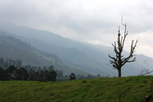 Радиогринго: саленто.  Типичная сентенция для опытных путешественников …. 06