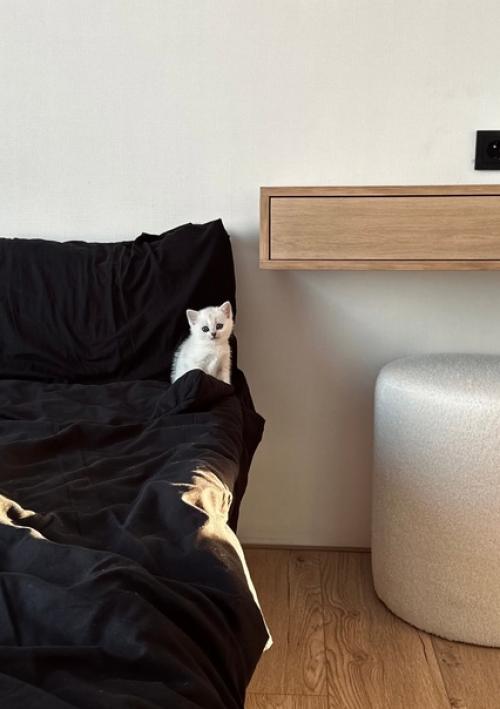 Решила и я поделиться своим интерьером дома всю стройку и весь дизайн вела сама вдохновлялась стилем джапанди. 07