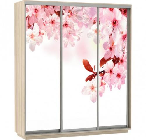 Для шкафа - купе в спальню чаще всего выбирают неяркие нейтральные изображения. 03