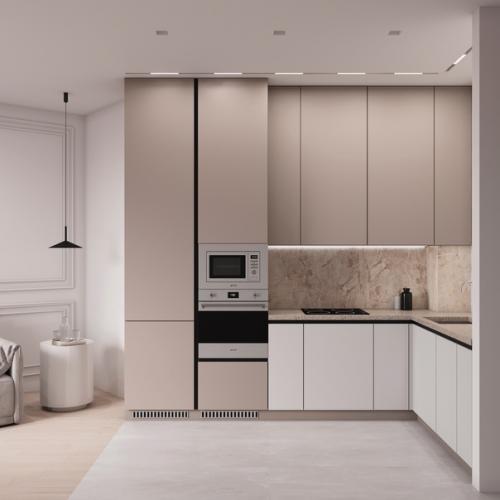 Кухня - гостиная в двух цветах! 03