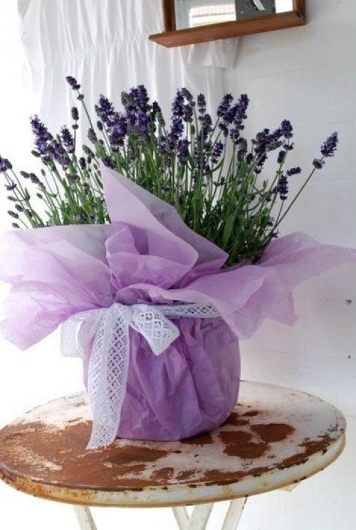 Лавандовые сны.  Посмотрите - каким нежным может стать ваш интерьер. 04