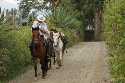 Радиогринго: саленто.  Типичная сентенция для опытных путешественников …. 07