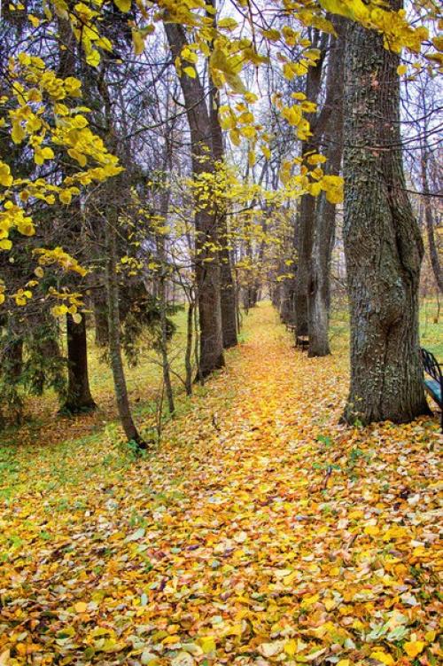 18 апреля - международный день памятников и исторических мест. 02