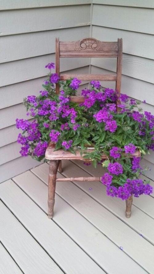 Клумба из стула своими руками для сада и дачи. 05