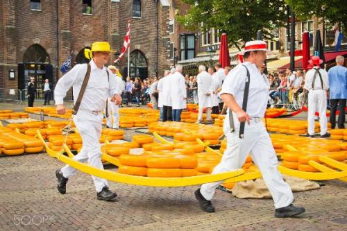 Окрестности Амстердама?   1. Харлем - город цветов. 05