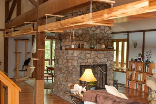 Дом, в котором есть место для кошек. 04