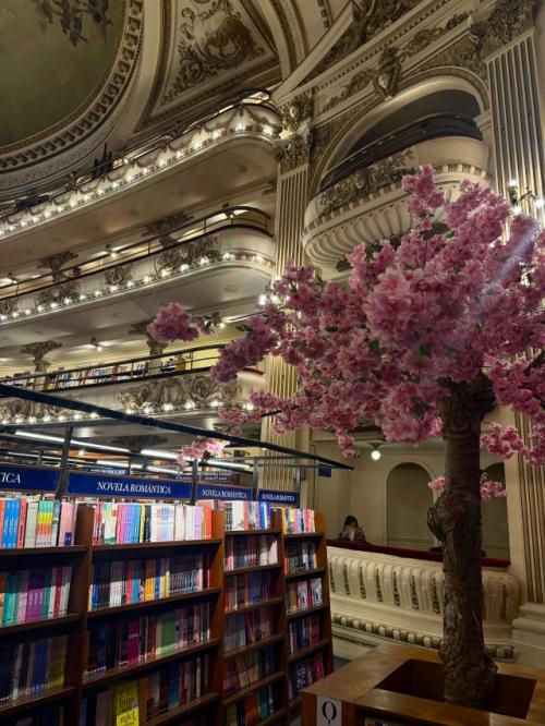 El Ateneo Grand Splendid. 03