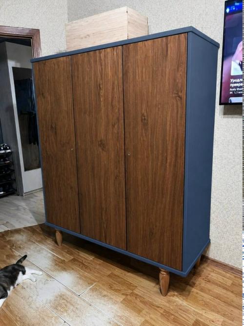 Здравствуйте!  С новой квартирой нам достался старый советский лакированный шкаф в изысканном тараканьем цвете. 02