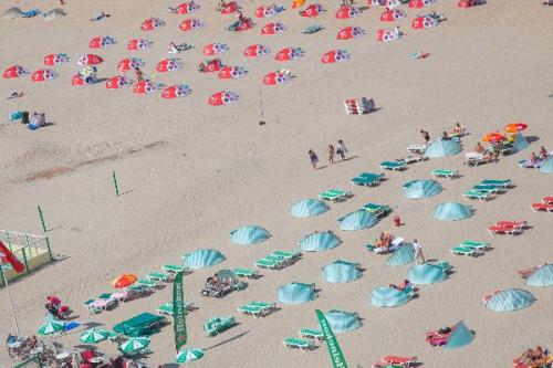 Окрестности Амстердама?   1. Харлем - город цветов. 04