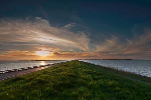 Окрестности Амстердама?   1. Харлем - город цветов. 07