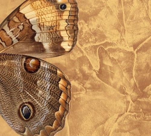 Венецианская декоративная штукатурка в интерьере квартиры. 04