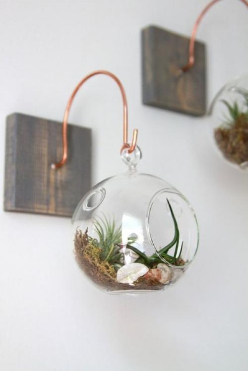 Флорариум или сад в вашей гостиной. 02