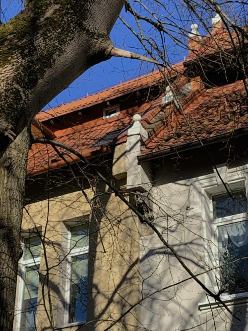 * продолжу хронику публикаций с поездки в Калининград и область, ибо есть что показать и рассказать. 04