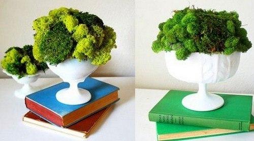 Украшения из мха в интерьере. 02