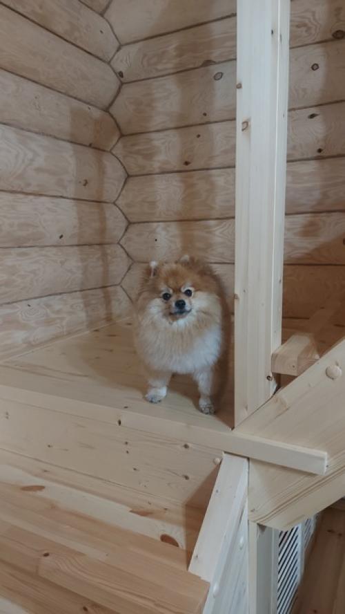 Цветопсихология.  Я не в теме дизайна и не в курсе сочетаемости цветов. 04