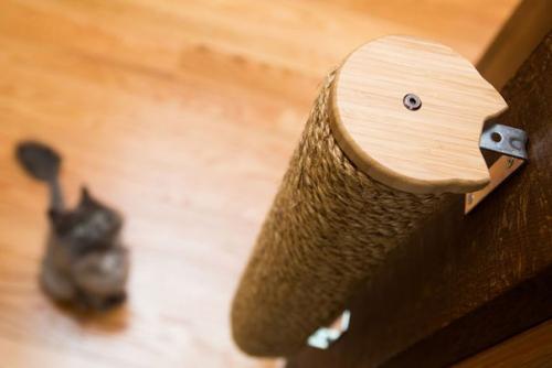 Дом, в котором есть место для кошек. 07