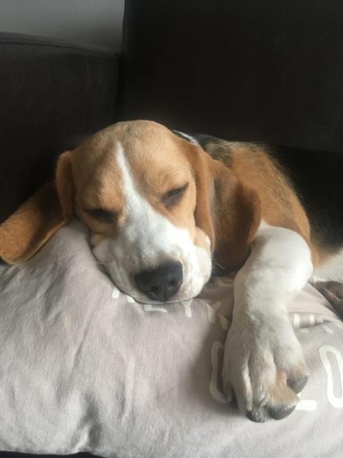 Чем мрачнее вокруг и на улице (во всех смыслах) - тем большая доза уюта, тепла, спокойствия, гармонии требуется внутри. 05