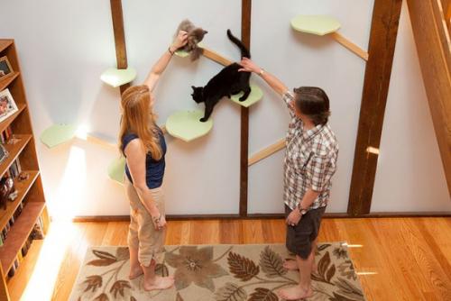 Дом, в котором есть место для кошек. 08