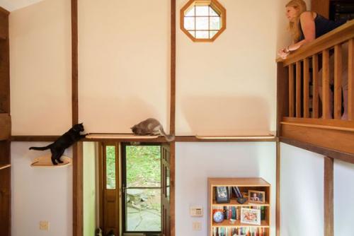 Дом, в котором есть место для кошек. 01