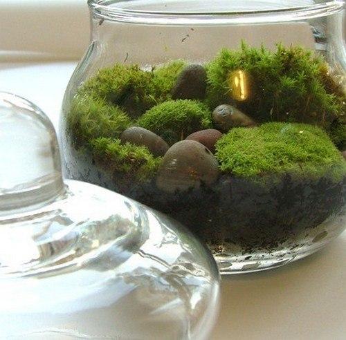 Украшения из мха в интерьере. 06