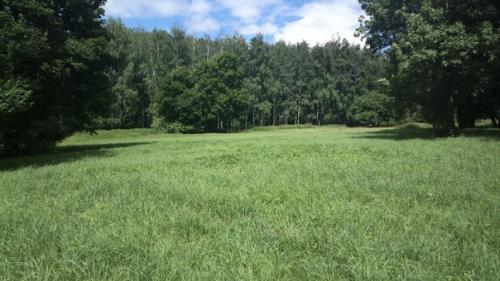 Музеи россии.  Дворец - музей графов Бобринских тульская область. 09