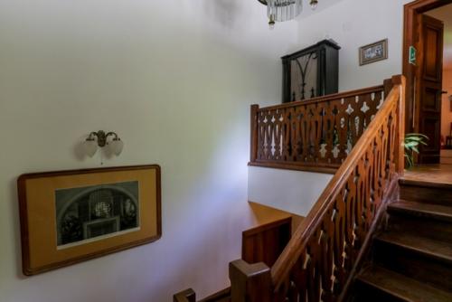 Дача (дом - музей) Павла Чистякова. 05