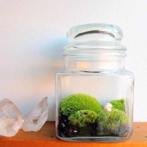 Украшения из мха в интерьере. 05