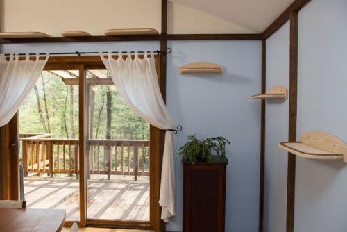 Дом, в котором есть место для кошек. 02