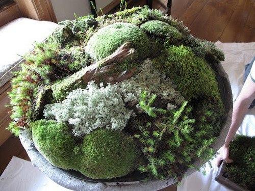 Украшения из мха в интерьере. 07