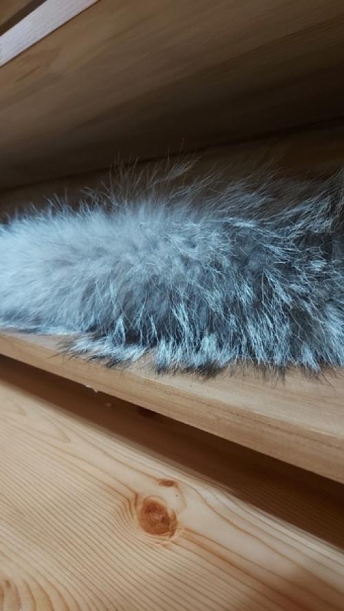 Цветопсихология.  Я не в теме дизайна и не в курсе сочетаемости цветов. 08