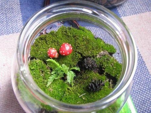 Украшения из мха в интерьере. 04