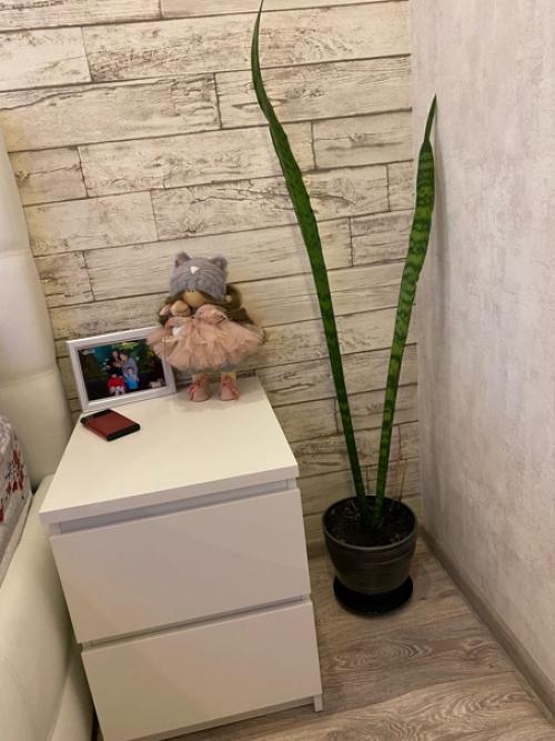 Как мы ремонт в спальне делали. 07