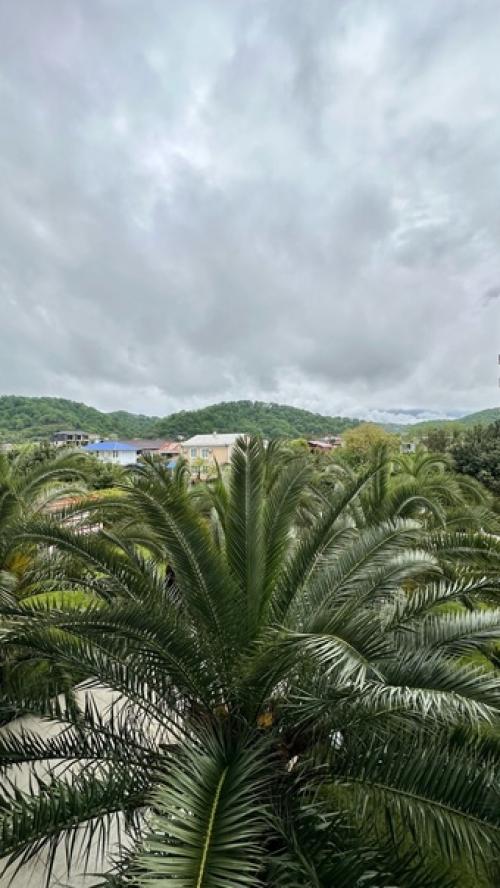 Почему люди Абхазию недооценивают. 01 Почему люди Абхазию недооценивают. 01