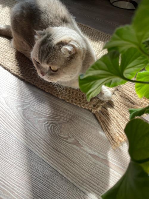 Как обновить интерьер ванной комнаты, лоджии или дачи, добавив всего лишь один предмет интерьера? 01