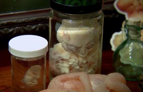 В одном доме с монстрами: коллекция режиссера Гильермо дель торо. 08