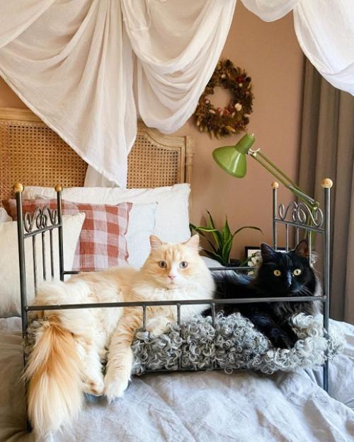 Интересный дом в Швеции с множеством растений и оригинальным декором. 08