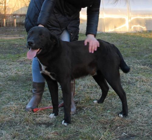 Мы продолжаем поиски дома. 05