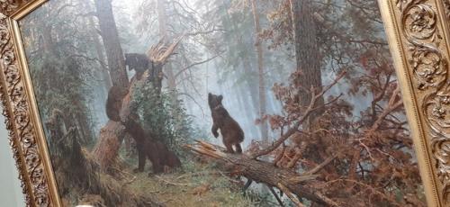 18 мая отмечается международный день музеев. 04