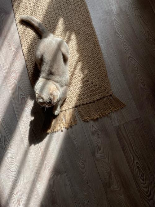 Как обновить интерьер ванной комнаты, лоджии или дачи, добавив всего лишь один предмет интерьера? 02