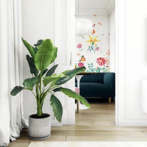 Красочный дизайн маленькой квартиры! 04