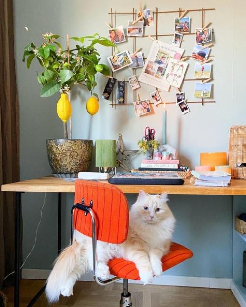 Интересный дом в Швеции с множеством растений и оригинальным декором. 04