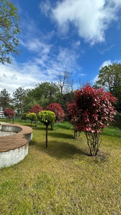 Почему люди Абхазию недооценивают. 07 Почему люди Абхазию недооценивают. 07