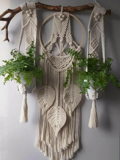 Какое кашпо украсит твой дом? 02